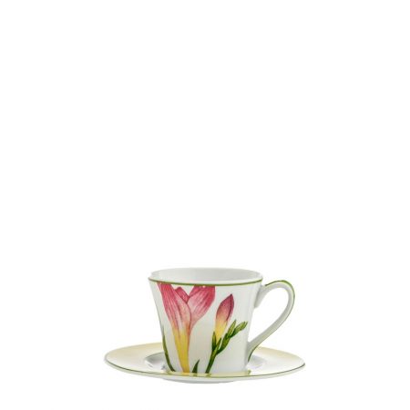 XICARA/PIRES CAFE TROPICANA PORCELANA CX C/ 6